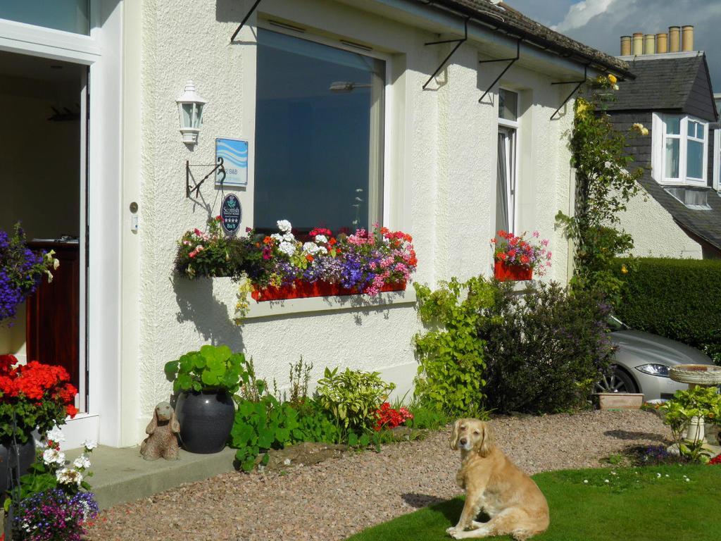No12 Bed And Breakfast, St Andrews Bagian luar foto